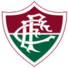 弗鲁米嫩塞女足logo
